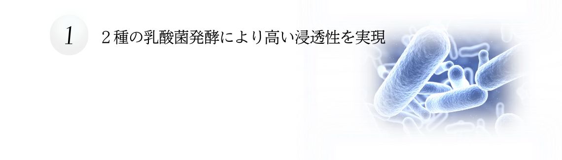 2種の乳酸菌発酵により、高い浸透性を実現